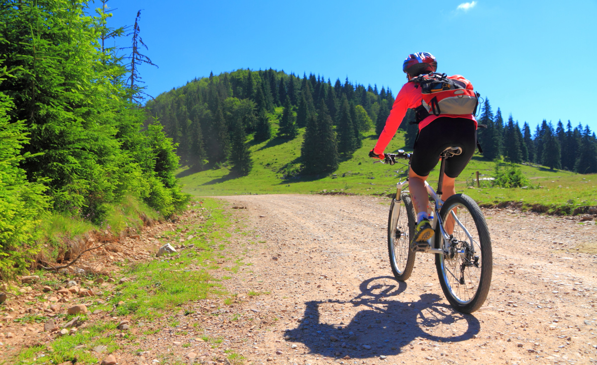 Steiermark - Mountainbike-Tour Planneralm-Donnersbach